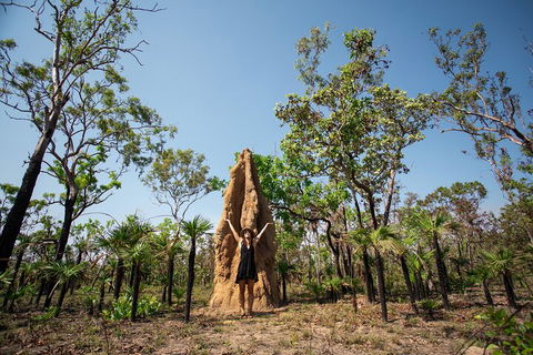 Litchfield National Park - Top End Day Tour From Darwin - Holiday Jervis Bay 5