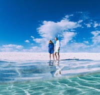 4-Day Coastal Loop via Monkey Mia Wild Dolphins Kalbarri Pinnacles Perth Return - Holiday Jervis Bay
