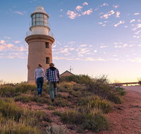 6-Day Coral Coaster from Perth to Exmouth One-Way via Monkey Mia Ningaloo Reef - Holiday Jervis Bay