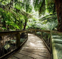 12 Apostles Eco-Friendly Great Ocean Road Iconic Adventure from Melbourne - Holiday Jervis Bay