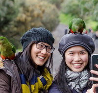 Small-Group Great Ocean Road and 12 Apostles Full-Day Tour from Melbourne - Holiday Jervis Bay