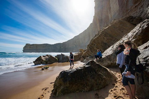Small-Group Great Ocean Road And 12 Apostles Full-Day Tour From Melbourne - Holiday Jervis Bay 1