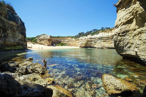 Small-Group Great Ocean Road And 12 Apostles Full-Day Tour From Melbourne - Holiday Jervis Bay 5