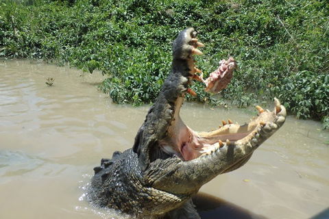 Litchfield And Jumping Crocodiles Full Day Trip From Darwin - Holiday Jervis Bay 3