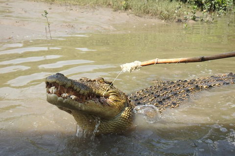 Litchfield And Jumping Crocodiles Full Day Trip From Darwin - Holiday Jervis Bay 4