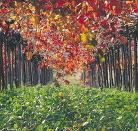 Margaret River Private Tour - Holiday Jervis Bay