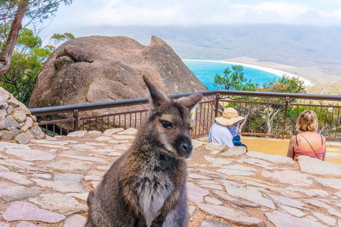 Wineglass Bay & Freycinet NP Full Day Tour From Hobart Via Richmond Village - Holiday Jervis Bay 0