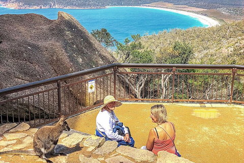 Wineglass Bay & Freycinet NP Full Day Tour From Hobart Via Richmond Village - Holiday Jervis Bay 1