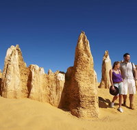 Pinnacles Day Trip from Perth Including Yanchep National Park - Holiday Jervis Bay