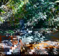 Aquaduck  Your choice of Gold Coast Rainforest Tour - Holiday Jervis Bay