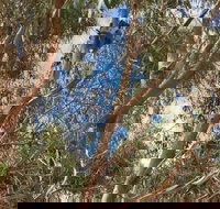 Kangaroo Island 4WD Tour - Best of KI in 2 Days - Holiday Jervis Bay