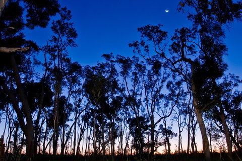Small-Group Kangaroo Island 4WD Night Tour - Holiday Jervis Bay 2