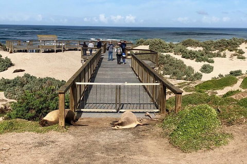 Kangaroo Island 4WD Tour - Best Of KI - Holiday Jervis Bay 2