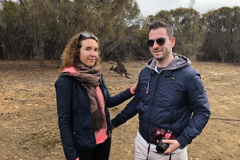 Kangaroo Island 4WD Tour - Best Of KI - Holiday Jervis Bay 3