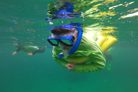 Manly Snorkel Trip And Nature Walk With Local Guide - Holiday Jervis Bay 5