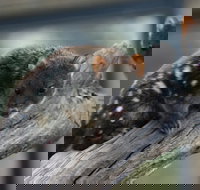 Sunset Experience - Holiday Jervis Bay