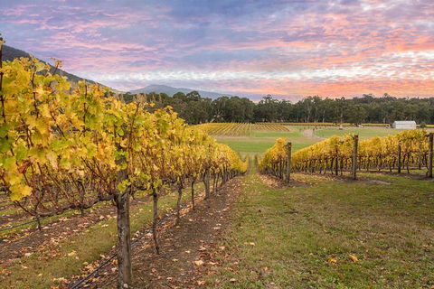 Yarra Valley Boutique Winery Tour From Melbourne - Holiday Jervis Bay 3