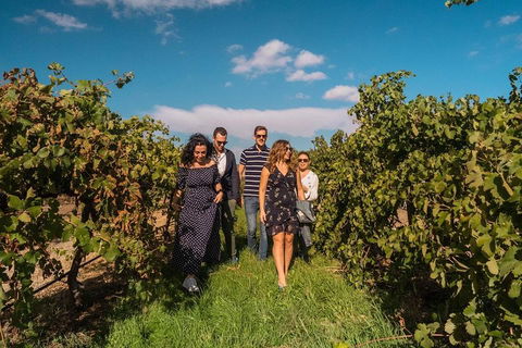 Barossa Valley Private Tour (from 2 To 11 People) - Holiday Jervis Bay 0