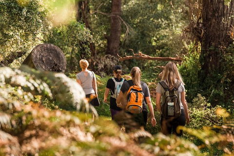 Cabaret Cave Yoga & Mindful Hike - Holiday Jervis Bay 2