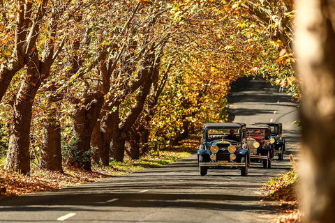 Blue Mountains Vintage Cadillac Tour With Local Guide - Holiday Jervis Bay 1