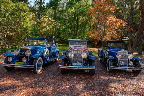 Blue Mountains Vintage Cadillac Tour With Local Guide - Holiday Jervis Bay 4