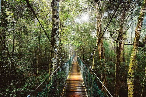 O'Reilly's & Lamington National Park From Gold Coast - Holiday Jervis Bay 0