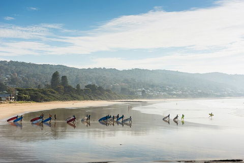 LGBT+ Friendly 12-Hour Great Ocean Road Private Tour - Holiday Jervis Bay 2