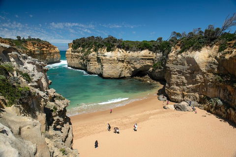 LGBT+ Friendly 12-Hour Great Ocean Road Private Tour - Holiday Jervis Bay 5