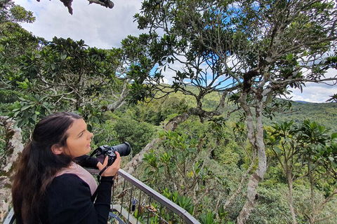 Lamington National Park, O'Reilly's & Vineyard Tour - Holiday Jervis Bay 1