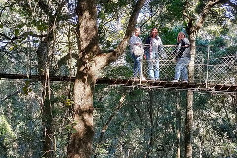 Lamington National Park, O'Reilly's & Vineyard Tour - Holiday Jervis Bay 2