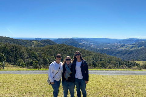 Lamington National Park, O'Reilly's & Vineyard Tour - Holiday Jervis Bay 3