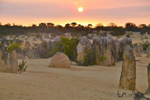 Pinnacle Desert Sunset And Stargazing With Dinner - Holiday Jervis Bay 5