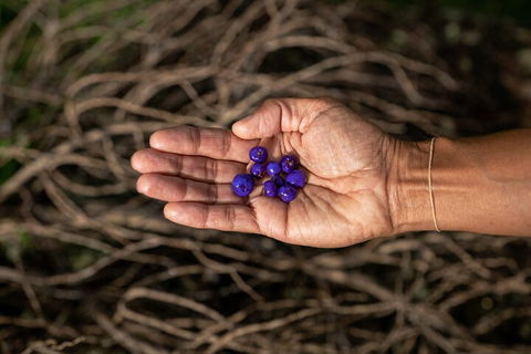 Cape Byron Aboriginal Tour - Holiday Jervis Bay 0