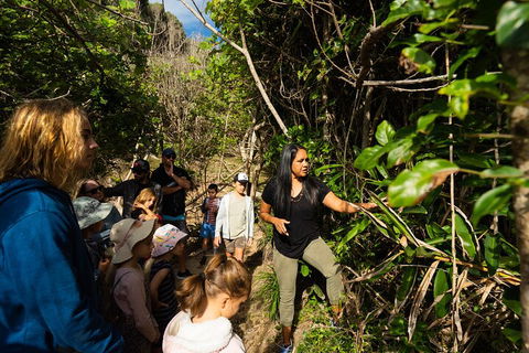 Cape Byron Aboriginal Tour - Holiday Jervis Bay 4