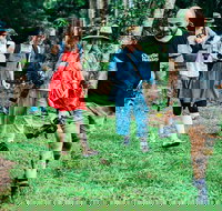 Let's Go Buggin  Let's Go Shroomin - Photography  Nature Walking Tours - Holiday Jervis Bay