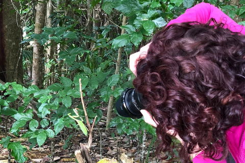 Let's Go Buggin & Let's Go Shroomin - Photography & Nature Walking Tours - Holiday Jervis Bay 1
