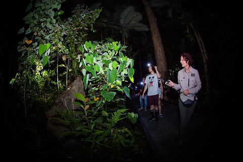 Let's Go Buggin & Let's Go Shroomin - Photography & Nature Walking Tours - Holiday Jervis Bay 4
