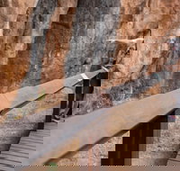 Chillagoe Caves and Outback Day Trip from Cairns - Holiday Jervis Bay