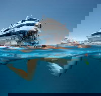 3 Day Great Barrier Reef Daintree Rainforest and Outback Chillagoe Tour - Holiday Jervis Bay