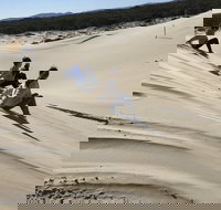 Port Stephens Bush Beach and Sand Dune 4WD Tag-Along Tour - Holiday Jervis Bay