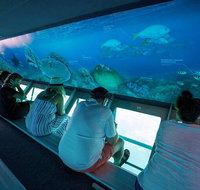 Great Barrier Reef Day Cruise to Reefworld - Holiday Jervis Bay