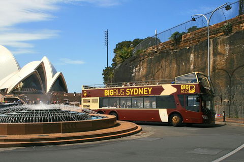 Big Bus Sydney And Bondi Hop-on Hop-off Tour - Holiday Jervis Bay 3