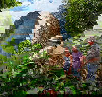 3 Day Cape Tribulation  Cooktown Tour from Cairns or Port Douglas - Holiday Jervis Bay