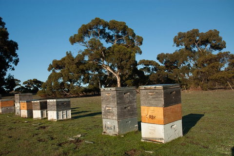 Fine Flavours - Full Day Kangaroo Island Food & Wine Tour - Holiday Jervis Bay 1