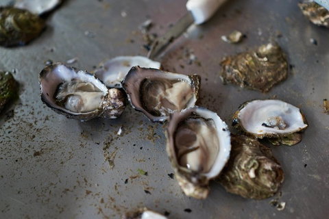 Fine Flavours - Full Day Kangaroo Island Food & Wine Tour - Holiday Jervis Bay 2