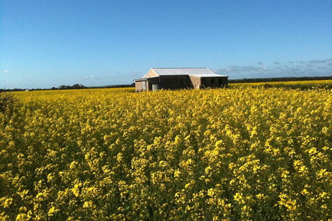 Fine Flavours - Full Day Kangaroo Island Food & Wine Tour - Holiday Jervis Bay 3