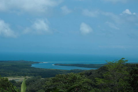 Cape Tribulation, Daintree Rainforest And Wildlife Tour - Holiday Jervis Bay 1