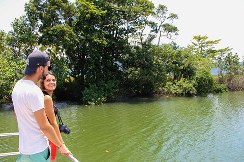 Cape Tribulation, Daintree Rainforest And Wildlife Tour - Holiday Jervis Bay 2