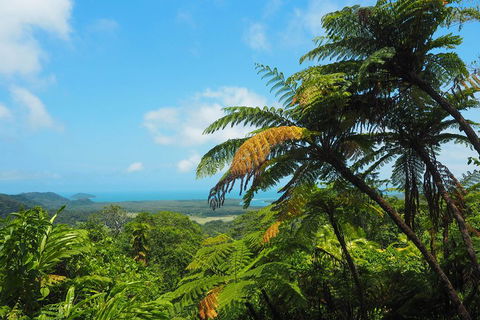 Cape Tribulation, Daintree Rainforest And Wildlife Tour - Holiday Jervis Bay 3