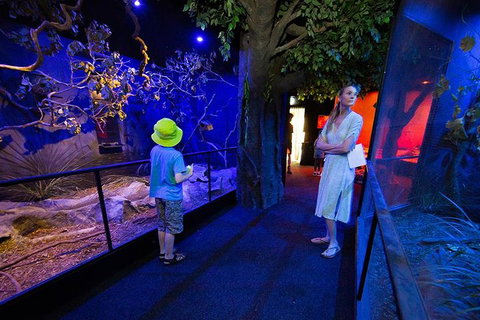 Wildlife Habitat Port Douglas - Holiday Jervis Bay 4